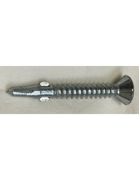 Vis AutoPerceuse acier zingué blanc 15µ, pointe forêt acier cémenté avec ailettes basses, tête Fraisée empreinte TORX T 25.